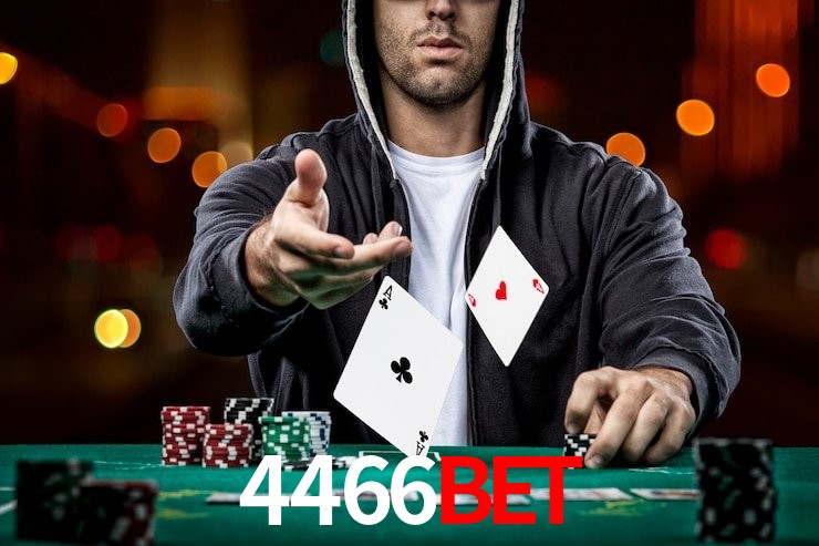 4466bet.com